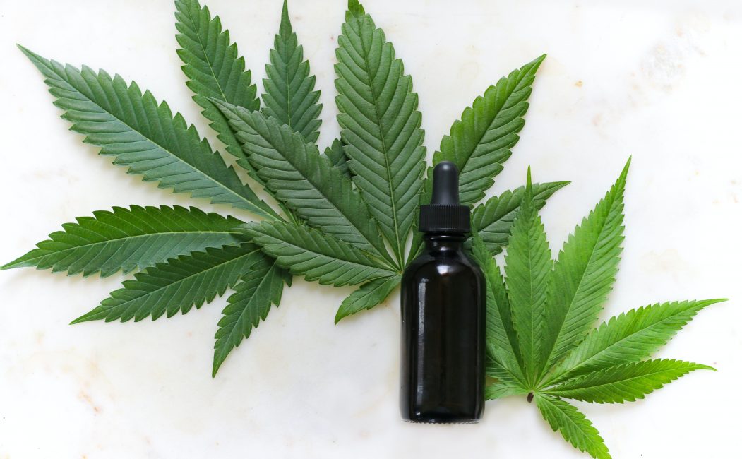 cannabis medicinal en Ecuador